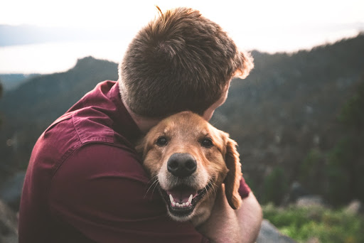 Brown hair man in red collared shirt hugging Golden Retriever 