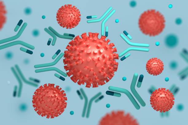 Coronavirus particles interacting with antibodies Medical concept illustration corona virus particles interacting with epitopes of antibodies immunoglobulins produced by immune system. 3d illustration. antibody stock pictures, royalty-free photos & images