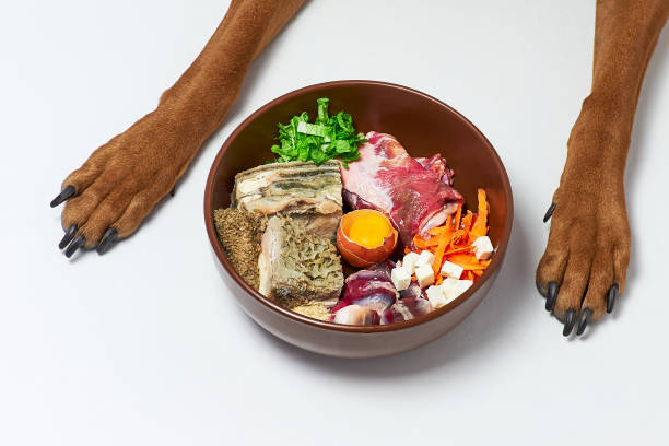 Natural raw meat, beef tripe, poultry gizzard, egg, and vegetable dog food in a brown bowl on white floor and dog's paws in the background. 