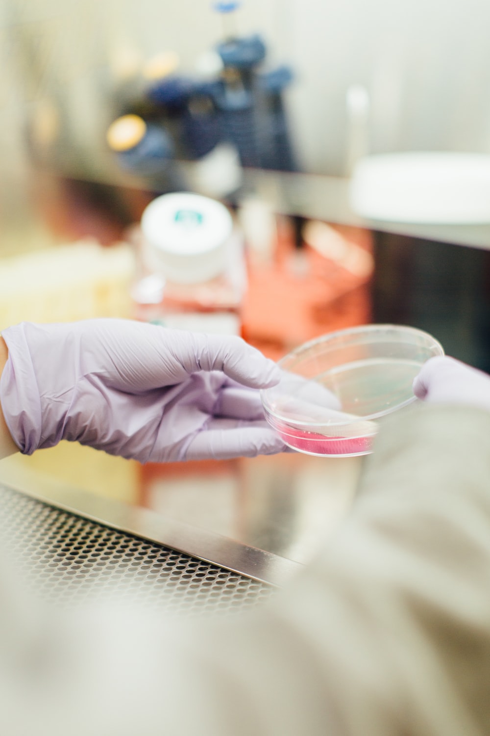 Person wearing latex gloves holding clear container in a food lab.