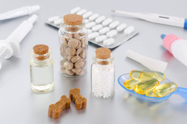 Various medical products for animals, natural supplements, oil, medicine and treats like bones on grey background.