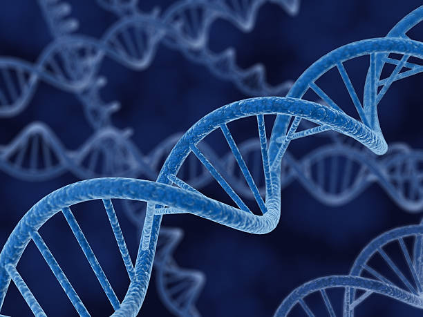 3d rendering of DNA Strands