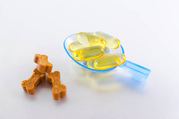 omega oil capsules for animals with treats like bones omega oil capsules for animals with treats like bones