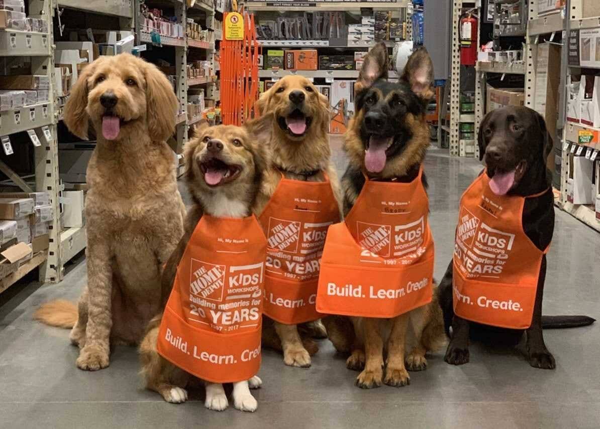 Group of different dogs wearing Home Depot aprons smiling with tongue out