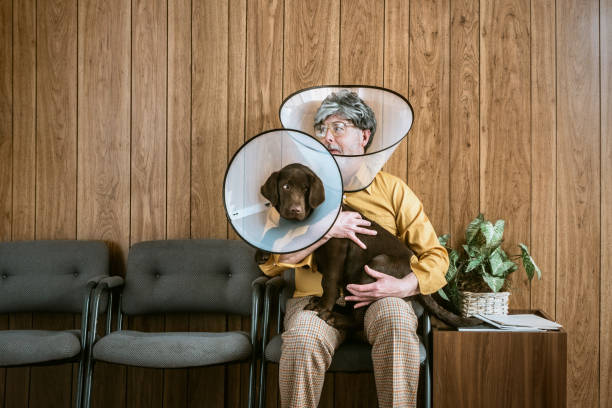 Man at Veterinarian Wearing Dog Cone A man and his puppy dog sit in the waiting room at a veterinary clinic, both of them wearing a dog cone collar to prevent from scratching and itching at fleas.  Retro styled room and clothing.  Horizontal image with copy space. dog itch stock pictures, royalty-free photos & images