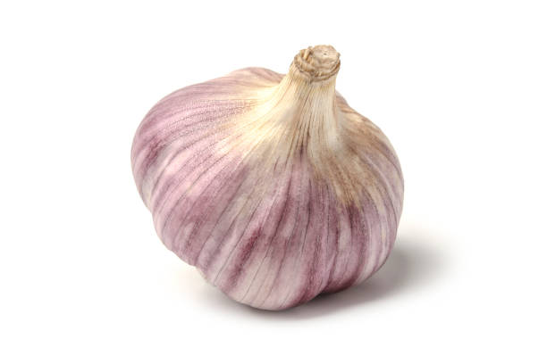 Garlic head Whole garlic head close up isolated on white garlic stock pictures, royalty-free photos & images