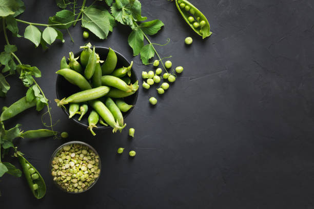 Green fresh pea seeds and branches on black. Space for text. View from above Green fresh and dry pea seeds and branches on black concrete background. Space for text. View from above peas stock pictures, royalty-free photos & images