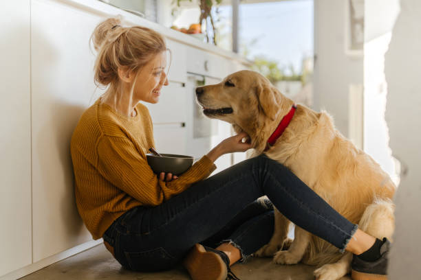 Morning with my dog in our kitchen Photo of young woman and her dog in a kitchen at the morning healthy dog stock pictures, royalty-free photos & images