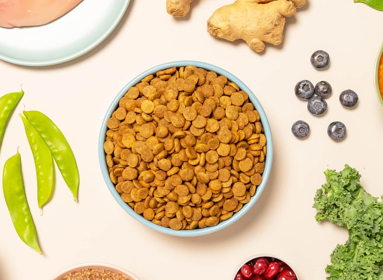 Bowl of Kabo chicken kibble