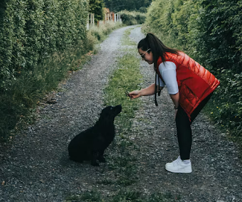 Black dog sitting waiting for a treat outdoors in a lane. 