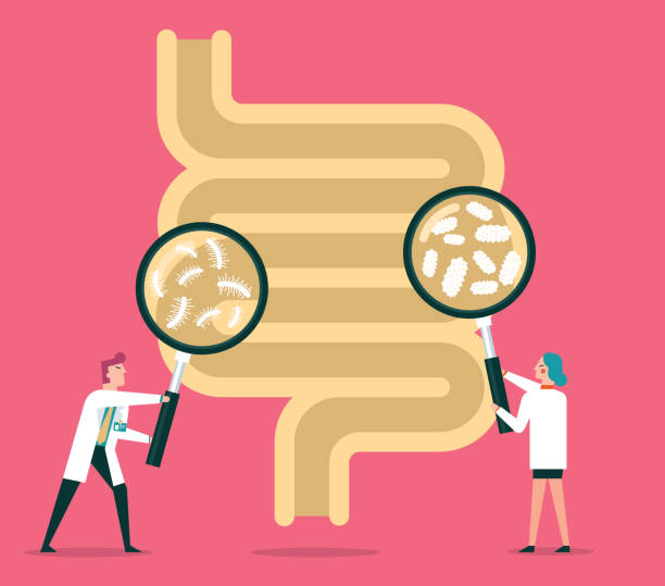 tiny cartoon scientists looking at bacteria in the intestine with magnifying glasses