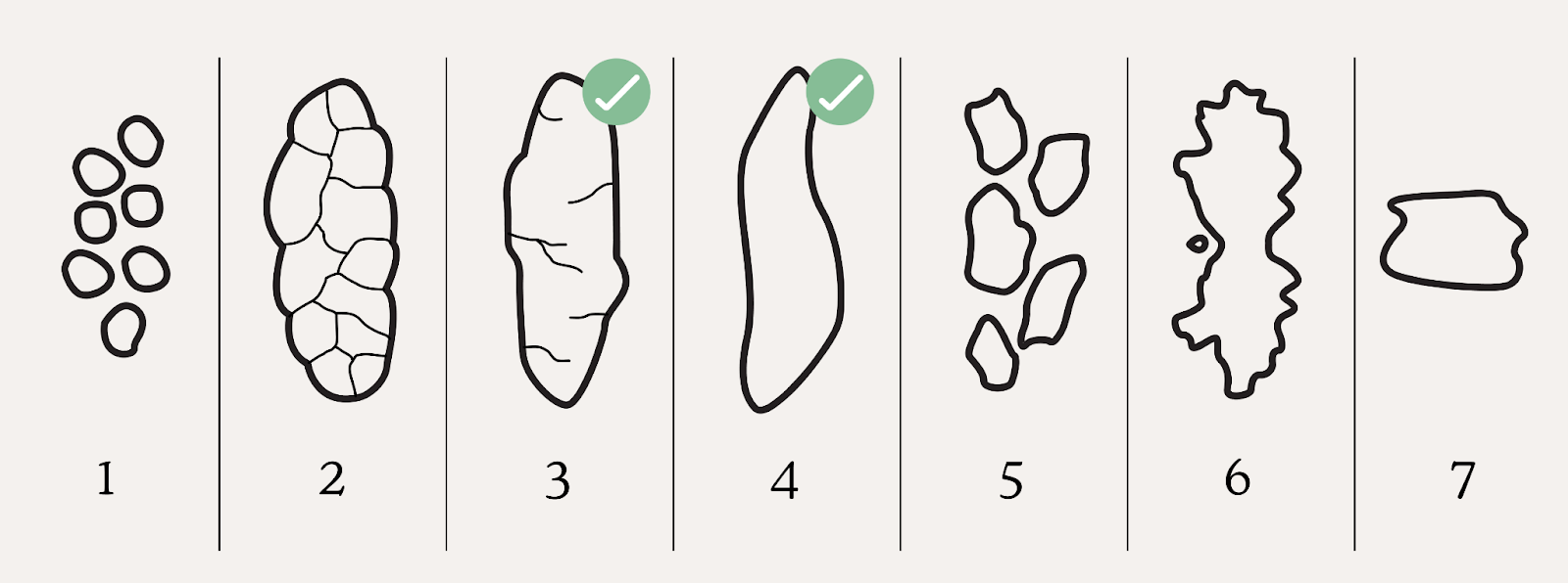Illustration of proper dog poop