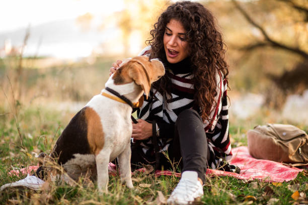 Woman petting Beagle outside at a picnic