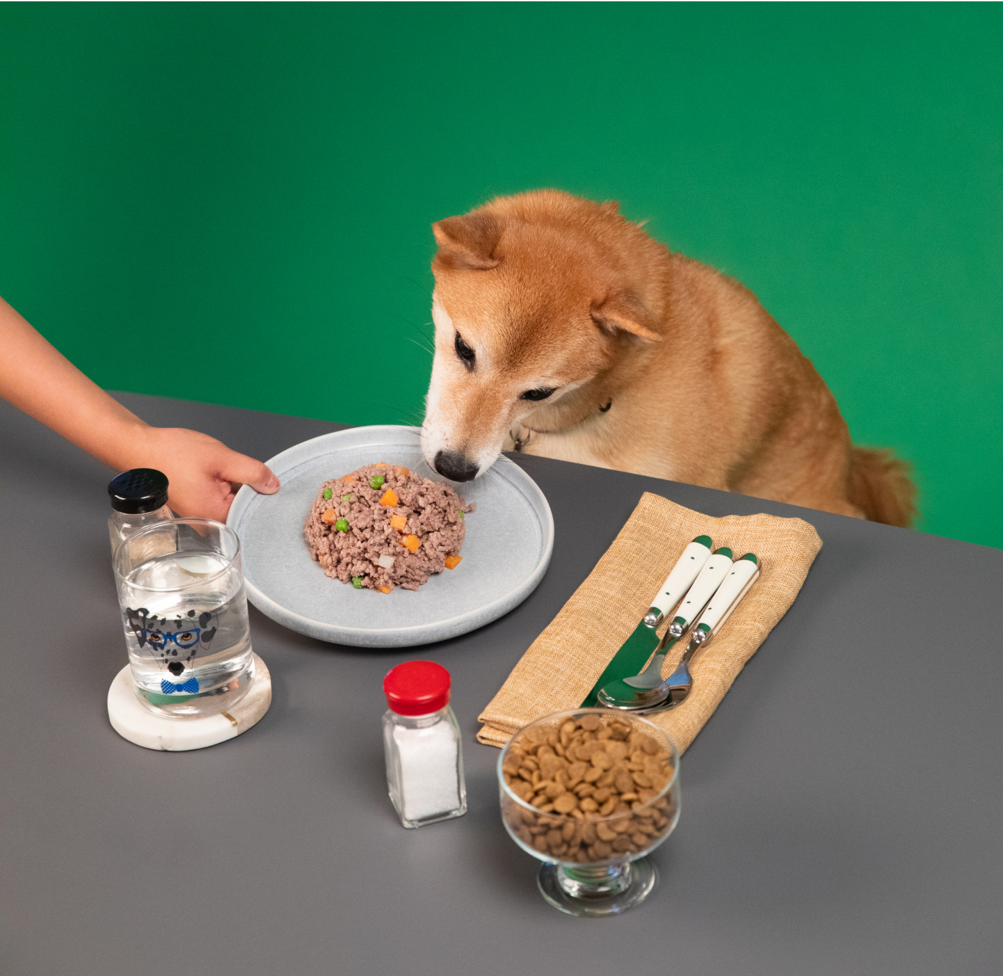 Shiba inu eating fresh food at a table