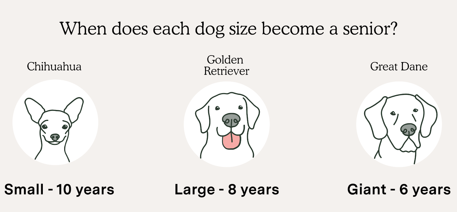 Illustration of Chihuahua, Golden Retriever and Great Dane