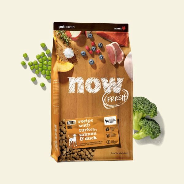 Now brand dog food bad