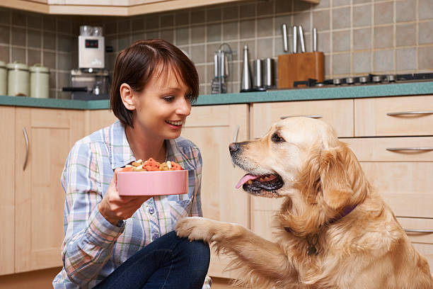 Woman holding a bowl of food out to her golden retriever