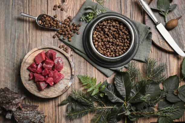 Bowl of dog kibble and a plate of raw cubed meat