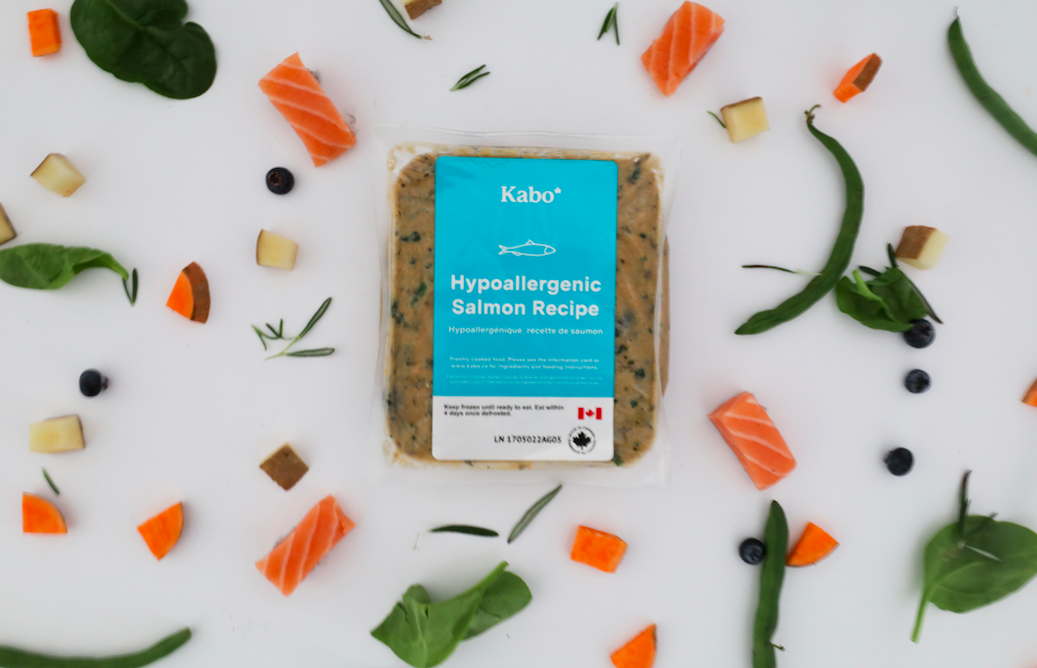 salmon recipe in packaging, surrounded by fresh ingredients