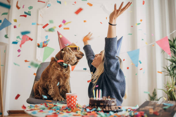 Cocker spaniel at a birthday party wth confetti
