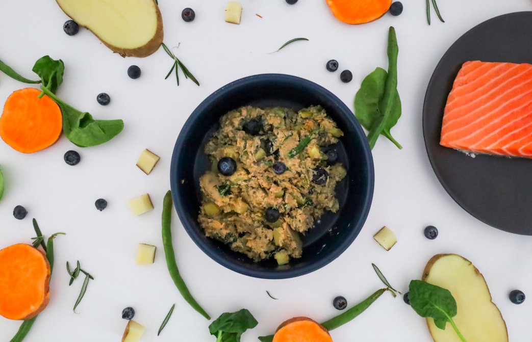 bowl of fresh cooked salmon recipe for dogs