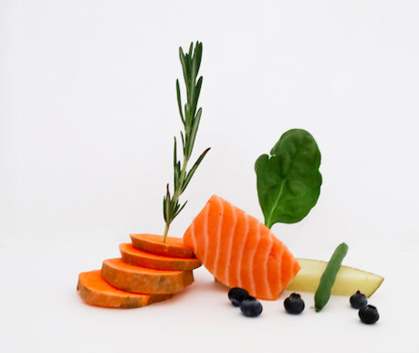 fresh ingredients in kabo hypoallergenic salmon recipe
