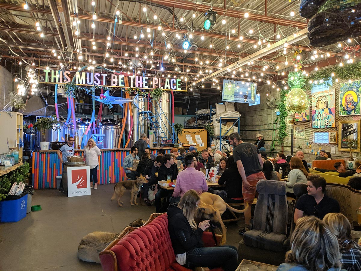 dogs and people enjoying cold garden brewery in Calgary