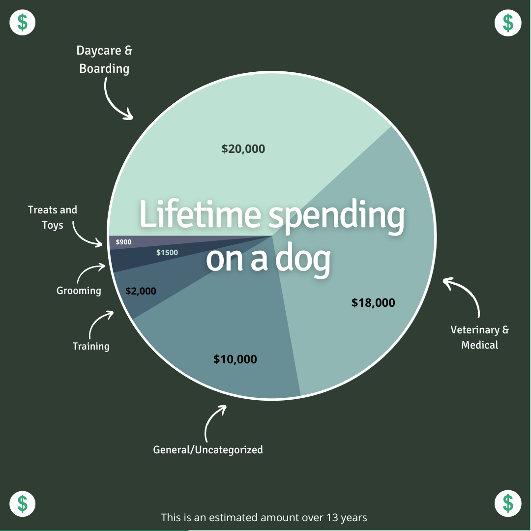 Pie chart break down of lifetime cost of owning a dog