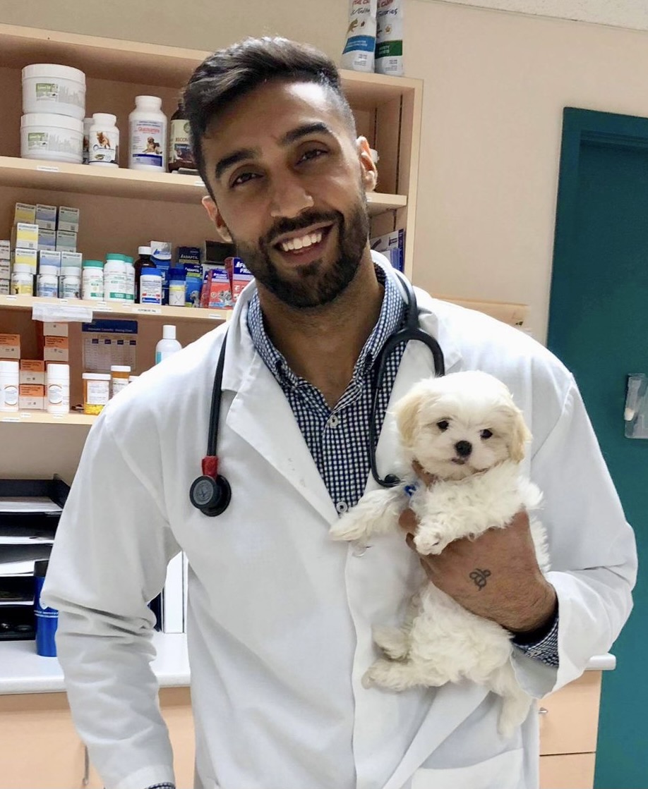 Veterinarian, Dr. Dhaliwal holding a puppy