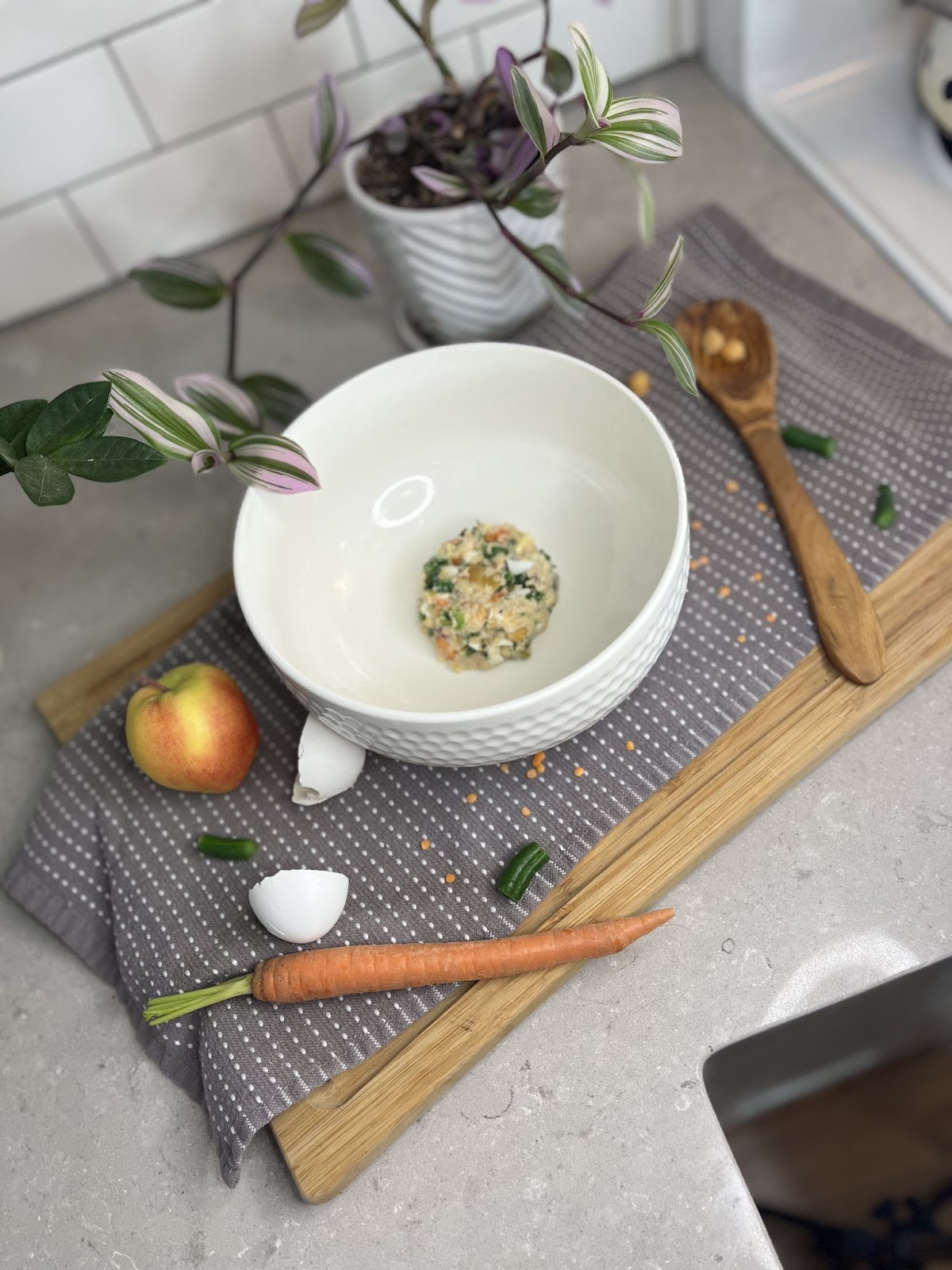 bowl of fresh cooked dog food (veggie recipe)