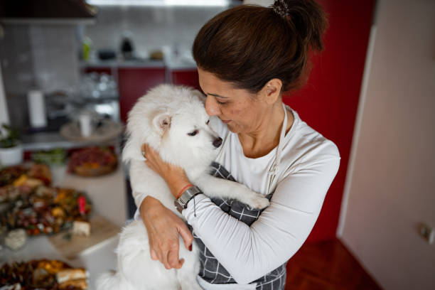 The housewife prepares the food and the dog The housewife prepares the food and the dog dog cranberries stock pictures, royalty-free photos & images