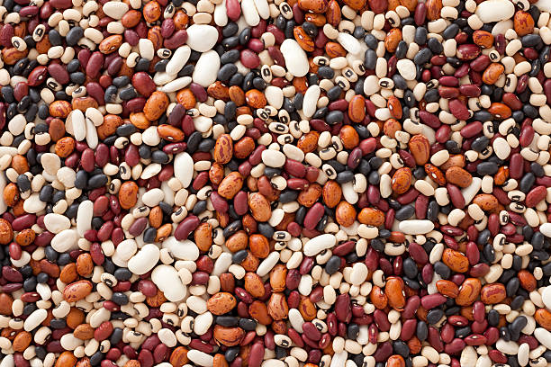 Mixed beans Top view of lots of white beans varieties (kidney bean, black bean, black-eyed pea, lima bean, pinto bean) beans stock pictures, royalty-free photos & images