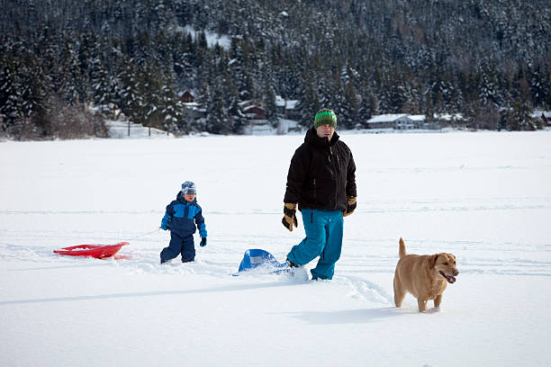 dad wtih sun playing in snow. father and son walking in the snow with the dog and toboggans. dog tobogan stock pictures, royalty-free photos & images