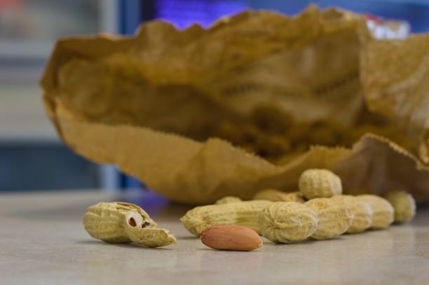 Peanuts on the table (Pesaro, Marche, Italy, Europe) Peanuts on the table (Pesaro, Marche, Italy, Europe) dog penut stock pictures, royalty-free photos & images