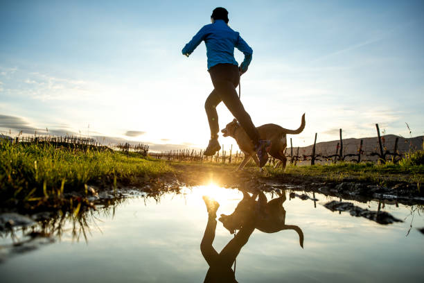 Woman Running with her Dog on Muddy Dirt Road Woman Running with her Dog on Muddy Dirt Road During Sunrise dog run stock pictures, royalty-free photos & images