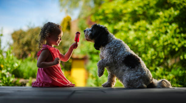 little girl sharing ice cream little girl sharing ice cream dog fozen treats stock pictures, royalty-free photos & images