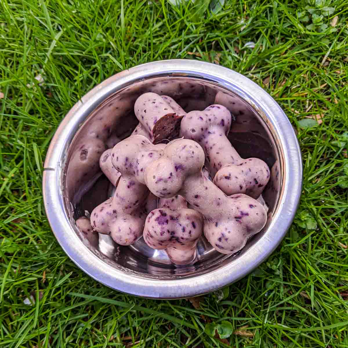 Blueberry Frozen Dog Treats - Peel with Zeal