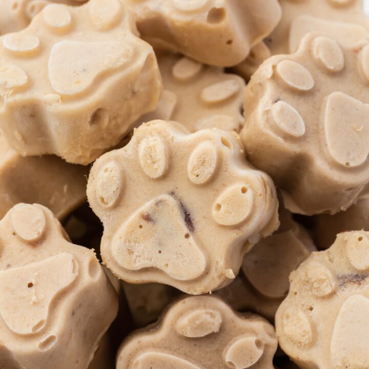 Dog Ice Cream