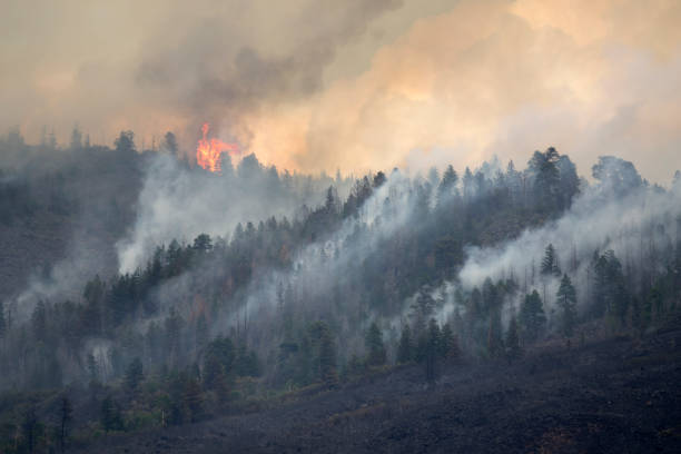 Lake Christine forest fire Basalt Mountain Colorado Rocky Mountain wildfire smoke Lake Christine forest fire burns out of control on Basalt Mountain as wind blows it through the pine trees above Highway 82 in the town of Basalt in Eagle County Colorado on July, 2018. wildfire smoke stock pictures, royalty-free photos & images