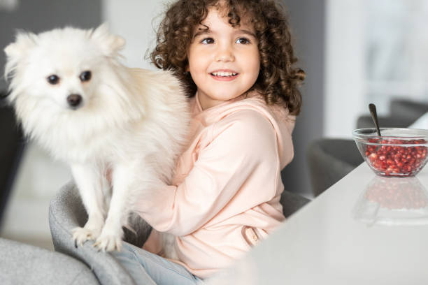Playing with a dog Cute little girl with curly hair playing with a dog in the kitchen. She is eating pomegranate dog pomegrantate stock pictures, royalty-free photos & images
