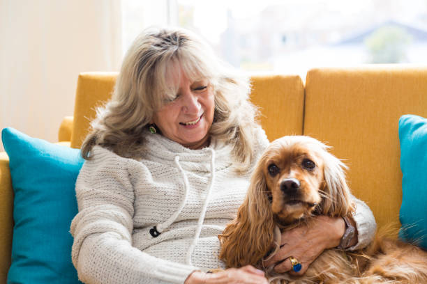 Grandma playing with her dog Grandma playing with her dog at her house cocker spaniel senior stock pictures, royalty-free photos & images