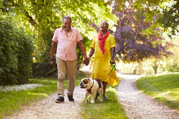 Senior Couple Walking With Pet Bulldog In Countryside Senior Couple Walking With Pet Bulldog In Countryside bulldog senior stock pictures, royalty-free photos & images