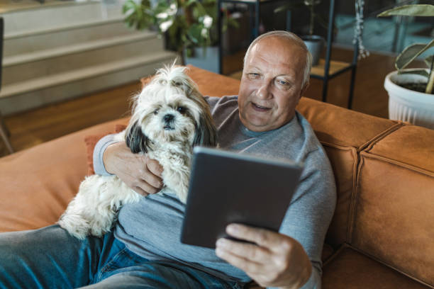 Mature Man Using Digital Tablet Happy mature man sitting on a couch with his dog, using digital tablet shih tzu senior stock pictures, royalty-free photos & images