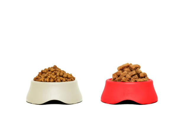 Kibble and canned dog food in bowls. Two types of dog food. Kibble and canned dog food in bowls isolated on white. Two types of dog food. dog cat food stock pictures, royalty-free photos & images
