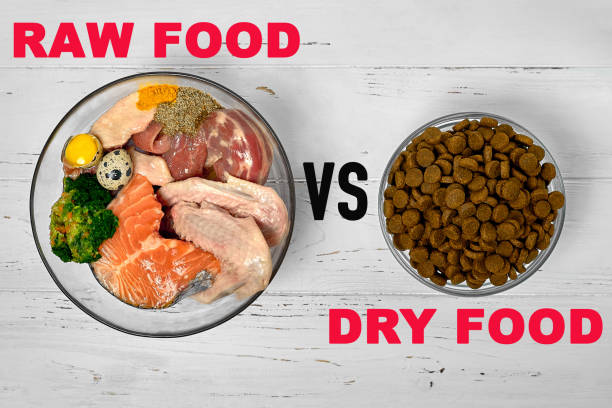 Dog food Natural raw diet versus against kibble dry food Concept close up Dog food Natural raw diet versus against kibble dry food Concept close up dog food poisoning stock pictures, royalty-free photos & images