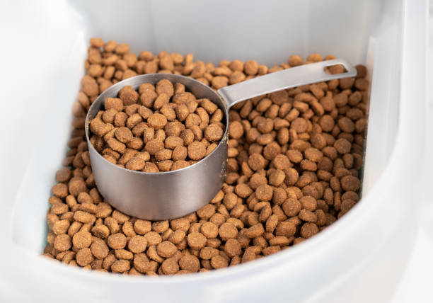 Kibbles with measuring cup inside larger food storage bucket. 1 cup dry pet or dog food portioned out for a medium to large dogs feeding time. Isolated on white. Selective focus. dog food meat and kibble stock pictures, royalty-free photos & images