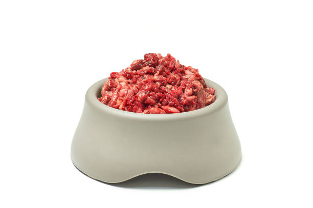 Natural pet food. Fresh raw minced meat in bowl on white background. Natural pet food. Fresh raw minced meat in bowl on white background. dog food meat and kibble stock pictures, royalty-free photos & images