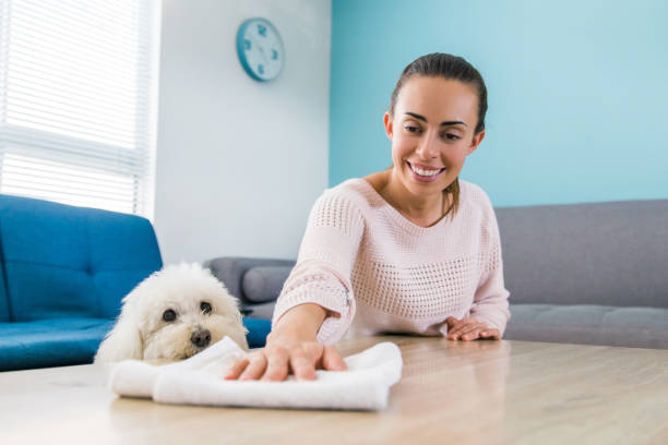 My pet is always with me Young woman is cleaning a table with a cloth and is seen peeking at the table, her pet. dog cleaning stock pictures, royalty-free photos & images