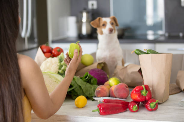young woman unbagging healthy groceries in kitchen young women unbagging healthy groceries in kitchen dog fruit and vegetables stock pictures, royalty-free photos & images