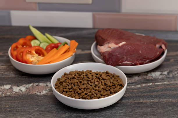 3 bowls of raw meat, vegetables and dry dog food on the kitchen counter 3 bowls of raw meat, vegetables and dry dog food on the kitchen counter dog fruit and vegetables stock pictures, royalty-free photos & images